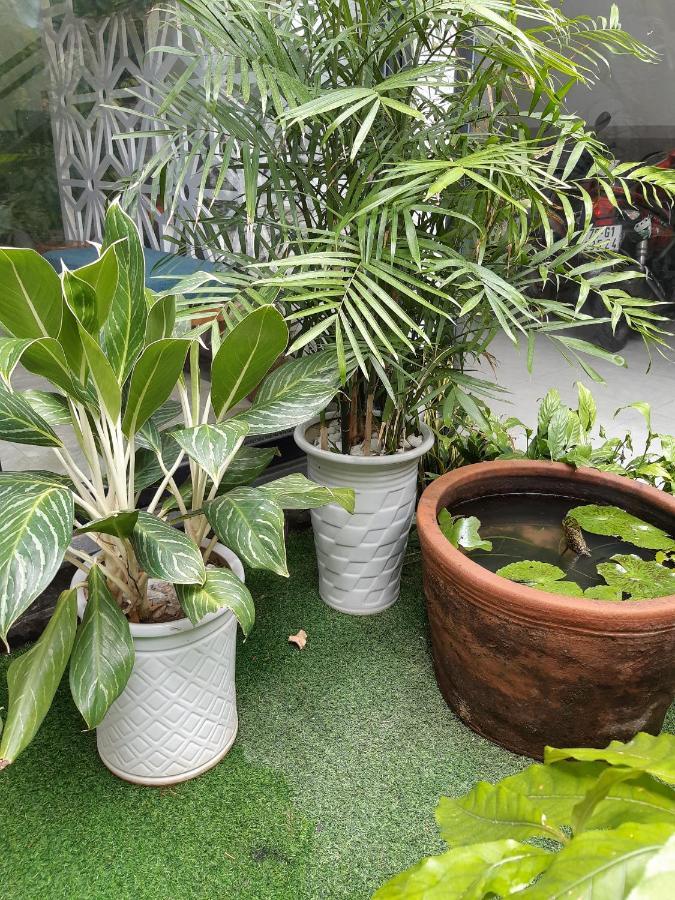 Hanid Hotel توي هوا المظهر الخارجي الصورة