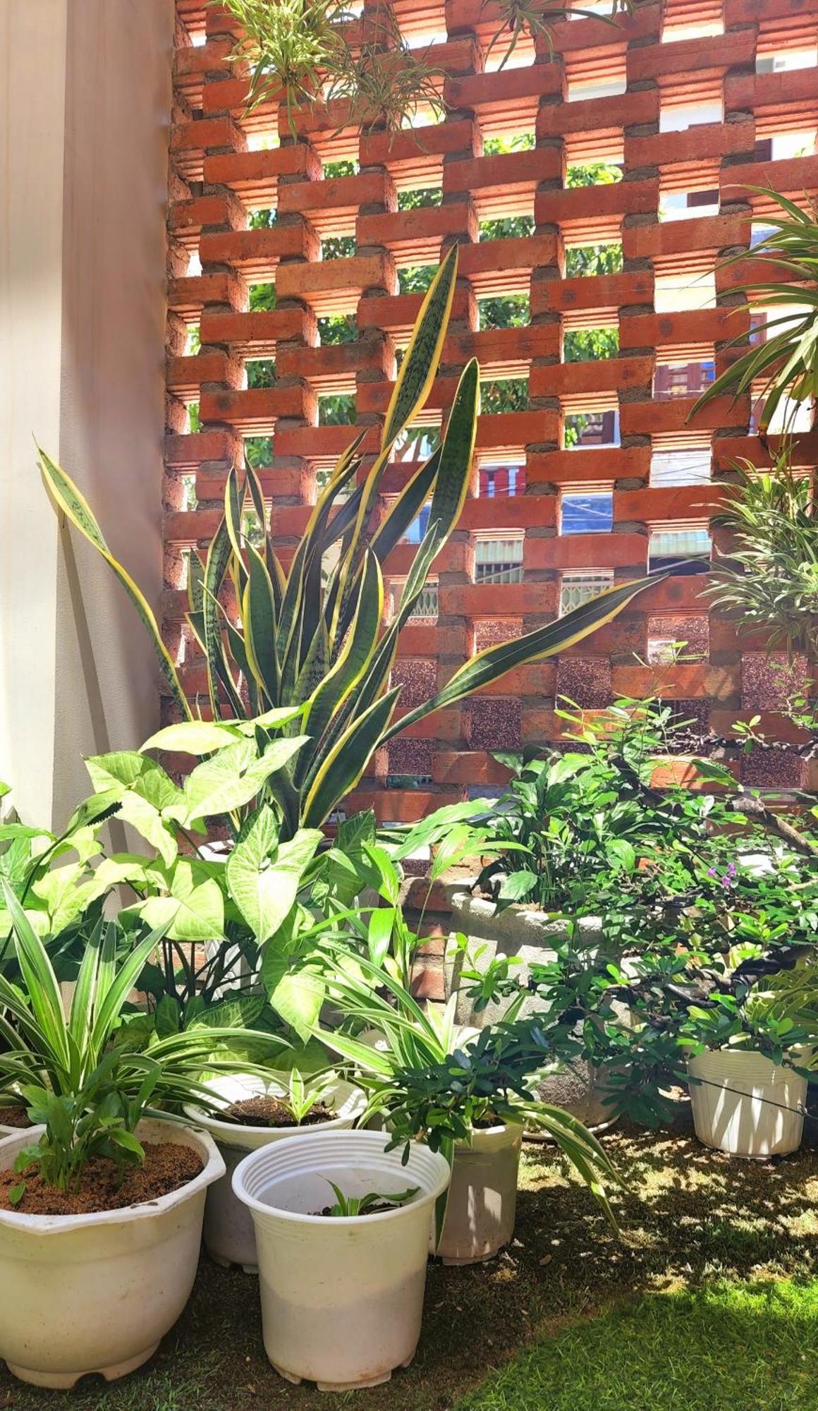 Hanid Hotel توي هوا المظهر الخارجي الصورة